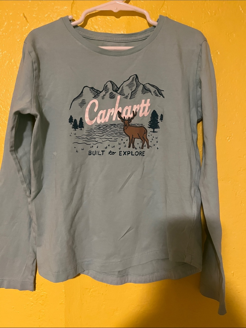 Carhartt Kids Long-Sleeve Graphic Tee — Sage Blue with Pink Logo